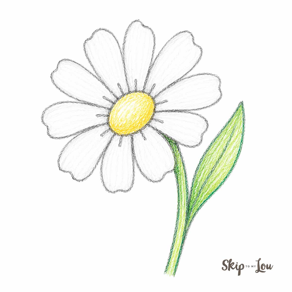 Simple daisy drawing made from the basic flower tutorial with long white petals and a yellow center