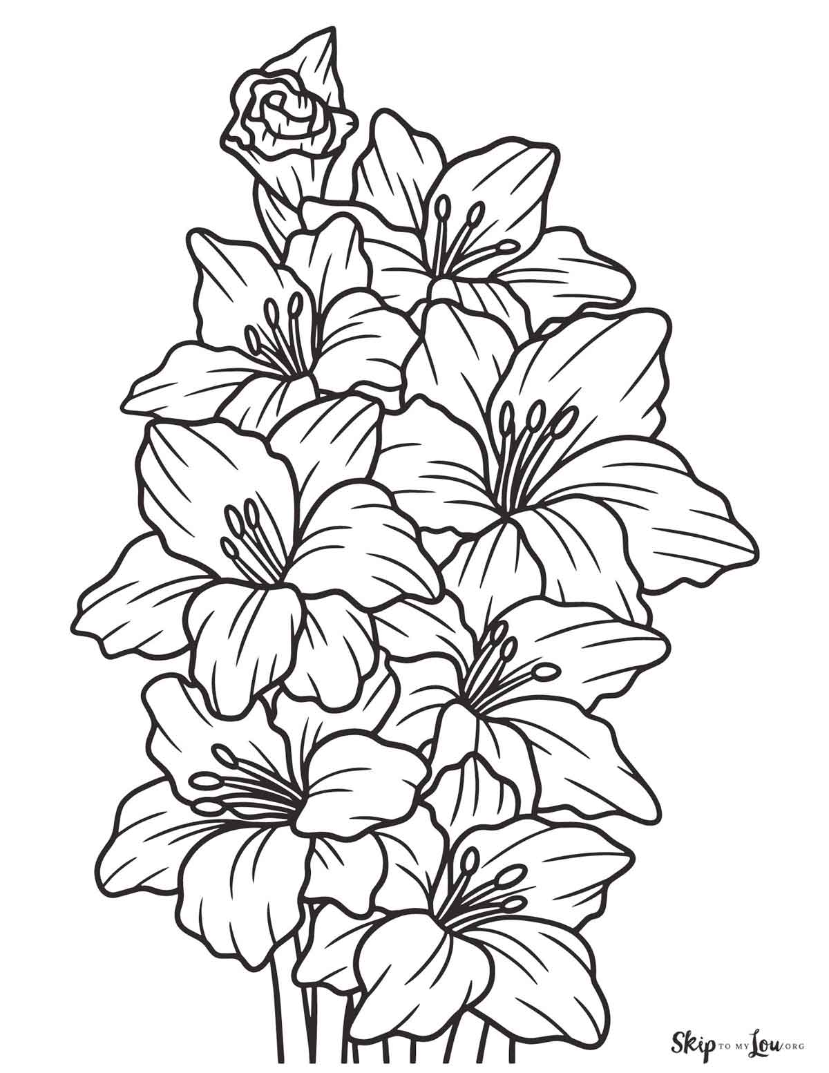 gladiola coloring page