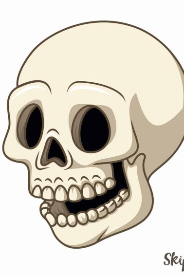 skull cartoon