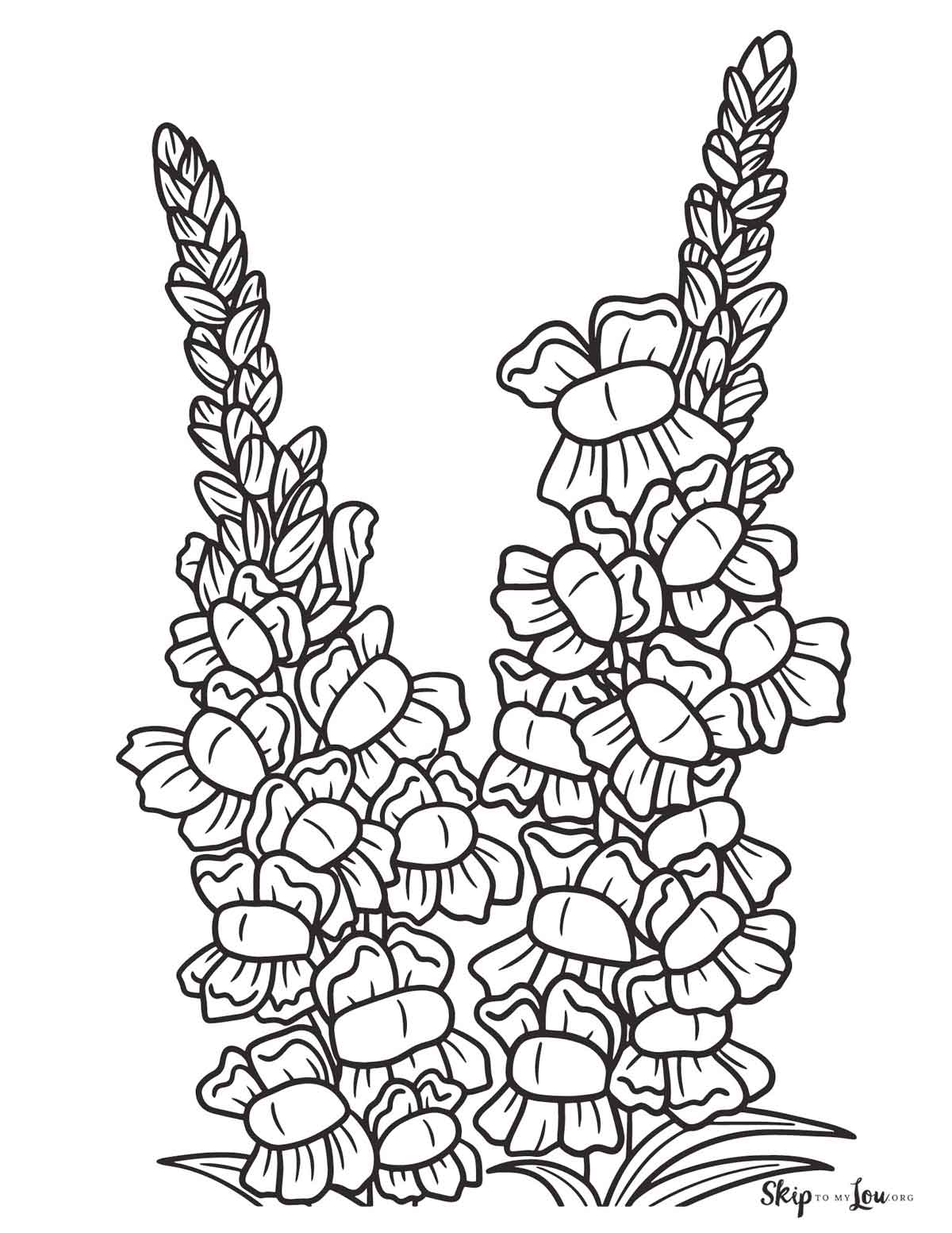 snapdragon coloring page
