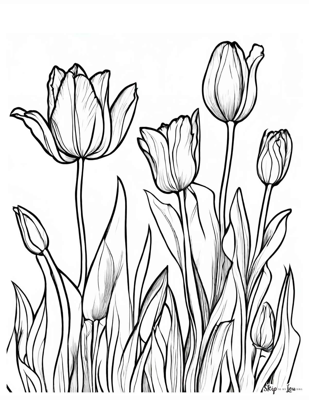 tulips coloring page