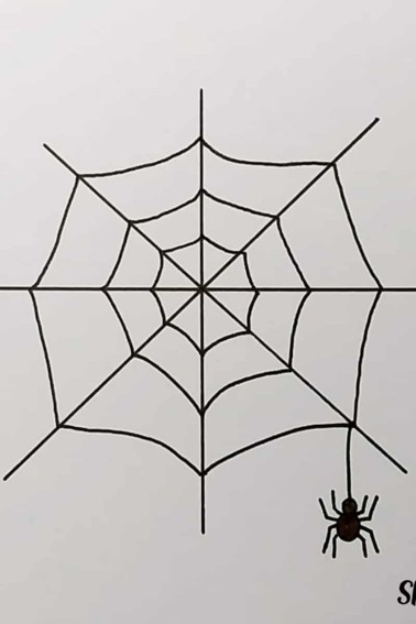 Final step for the spider web drawing. Add the spider coming off the right side of the web.r