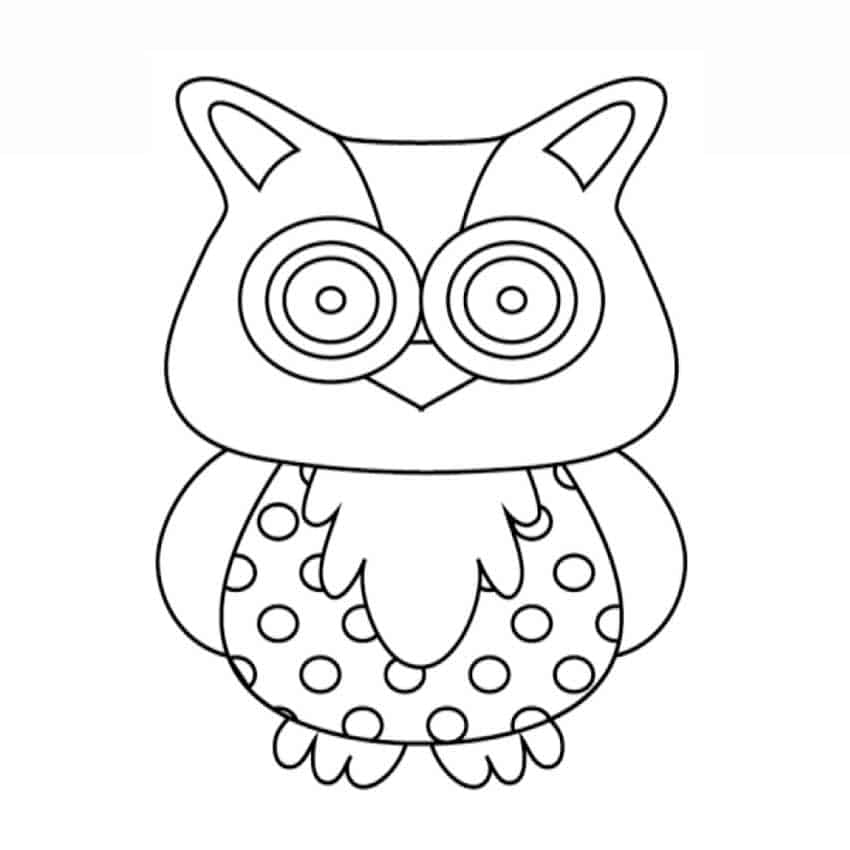add owl feet
