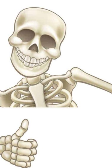 skull puns