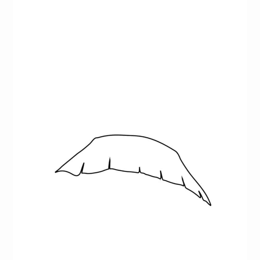 brim of witch hat