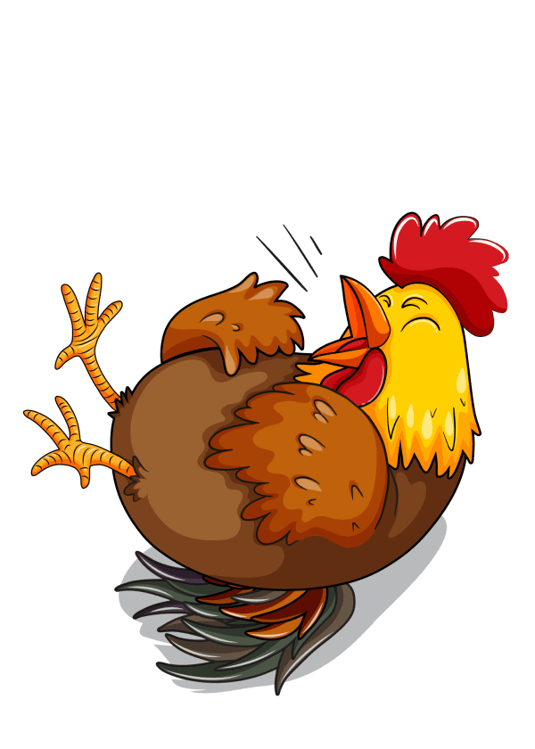 silly cartoon chicken laughing