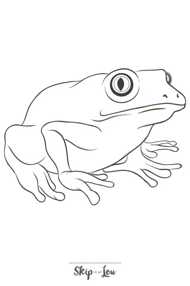 black and white frog