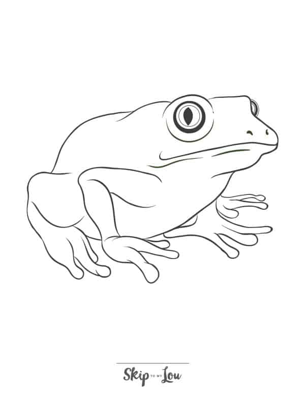 Black and white realistic drawing of a frog facing right by Skip to my Lou.