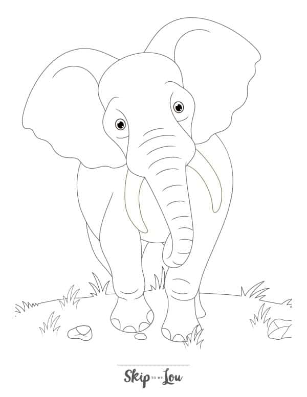 Black and white drawing of an elephant looking forward and walking forward by Skip to my Lou.
