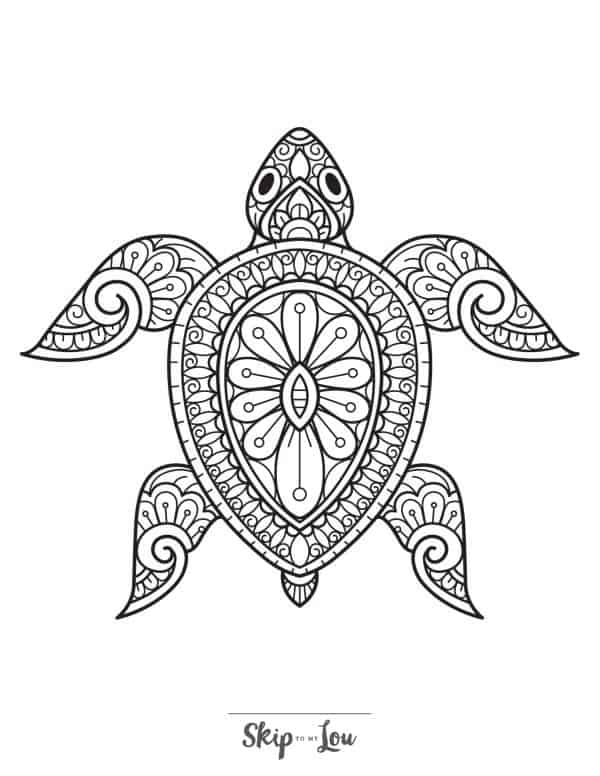 Adult coloring page of a turtle from above but it is made up of various patterns.