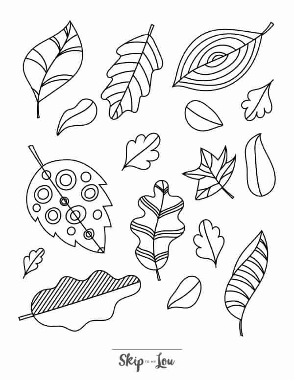 Adult coloring page of various leaves.