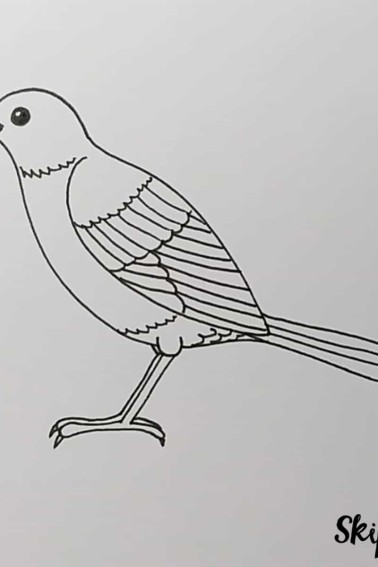 Black and white drawing of a bird facing left by Skip to my Lou