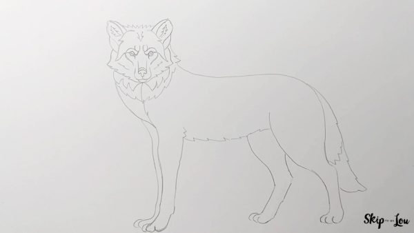 how to draw a wolf skip to my lou tutorial step 9 showing the completed head, body, and front and back legs.