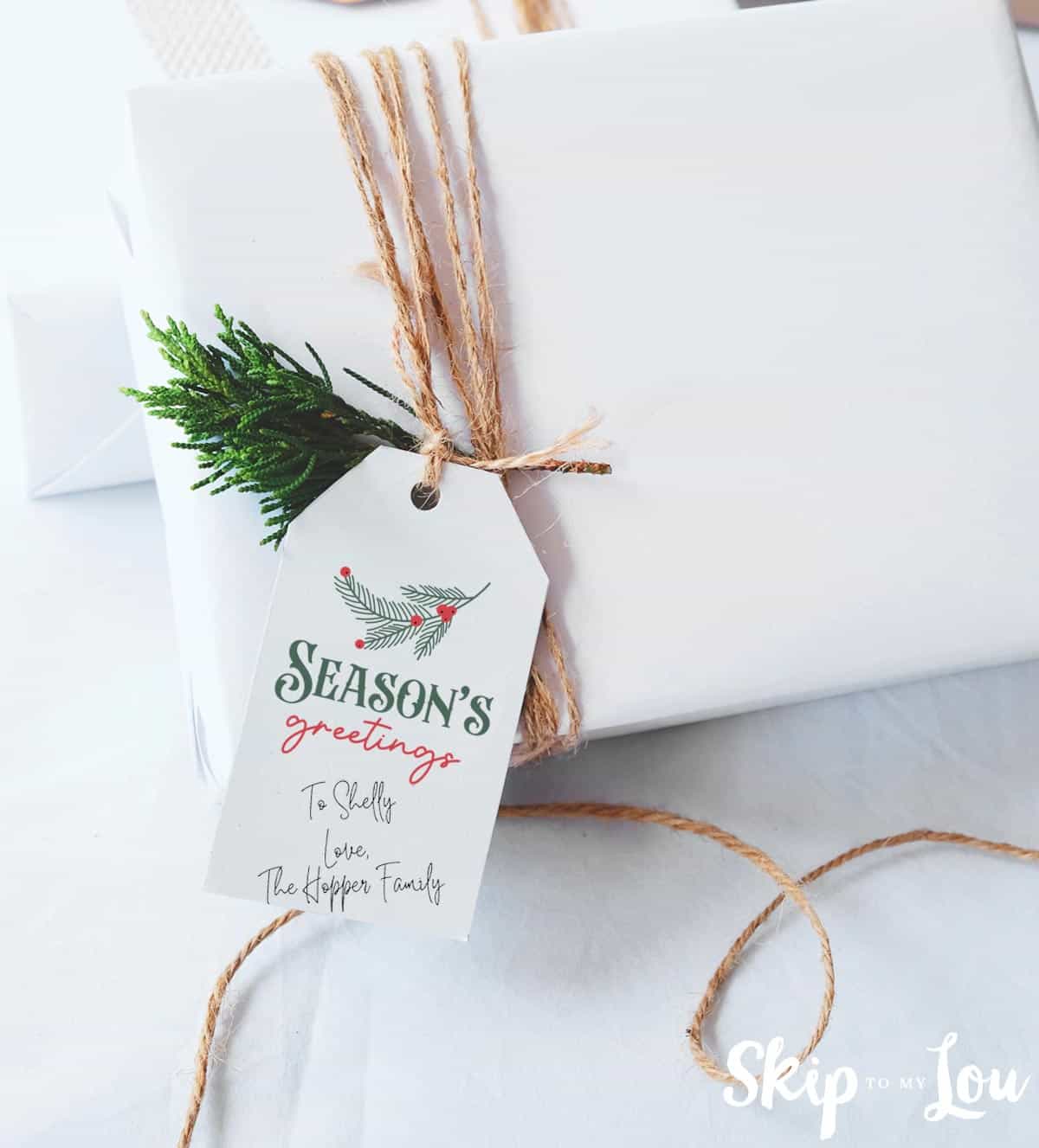seasons greeting tag on white package by Skip to my Lou