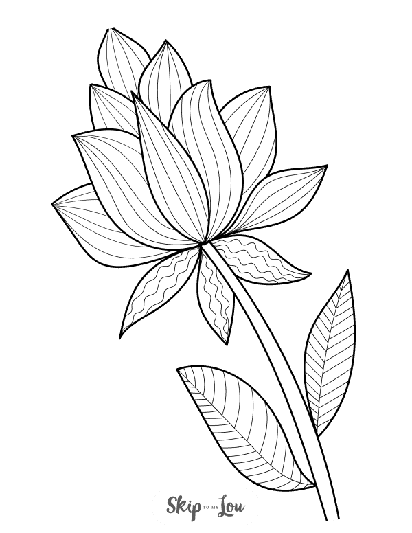 Image shows a blossoming flower with different patterns coloring page from skip to my lou