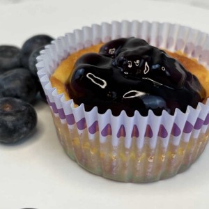 mini blueberry cheesecake beside fresh blueberries
