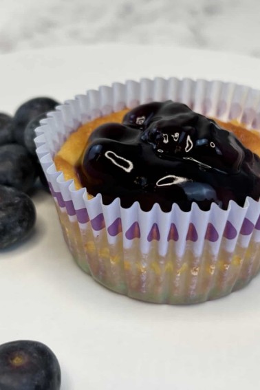 mini blueberry cheesecake beside fresh blueberries