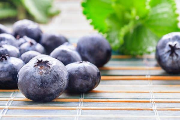 fresh blueberries and green leaves