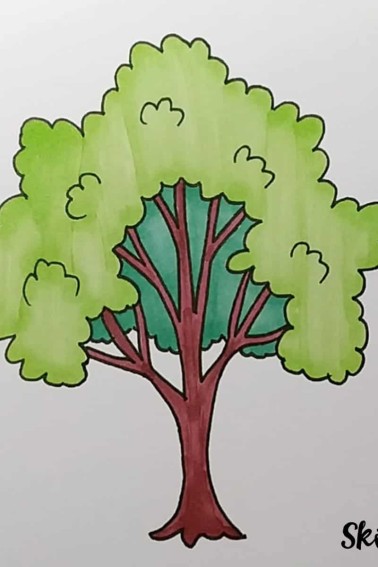 Finished tree drawing from skip to my lou