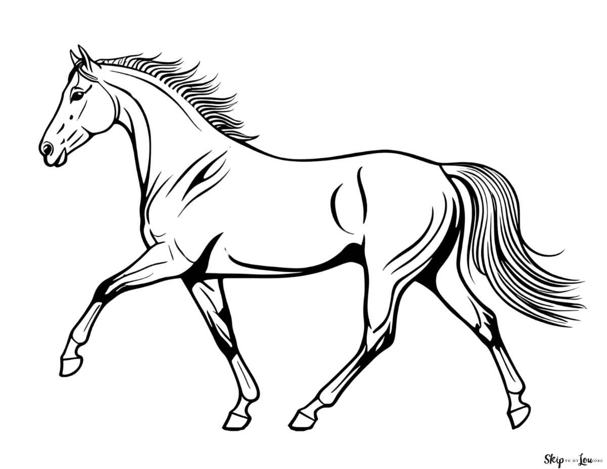 galloping horse