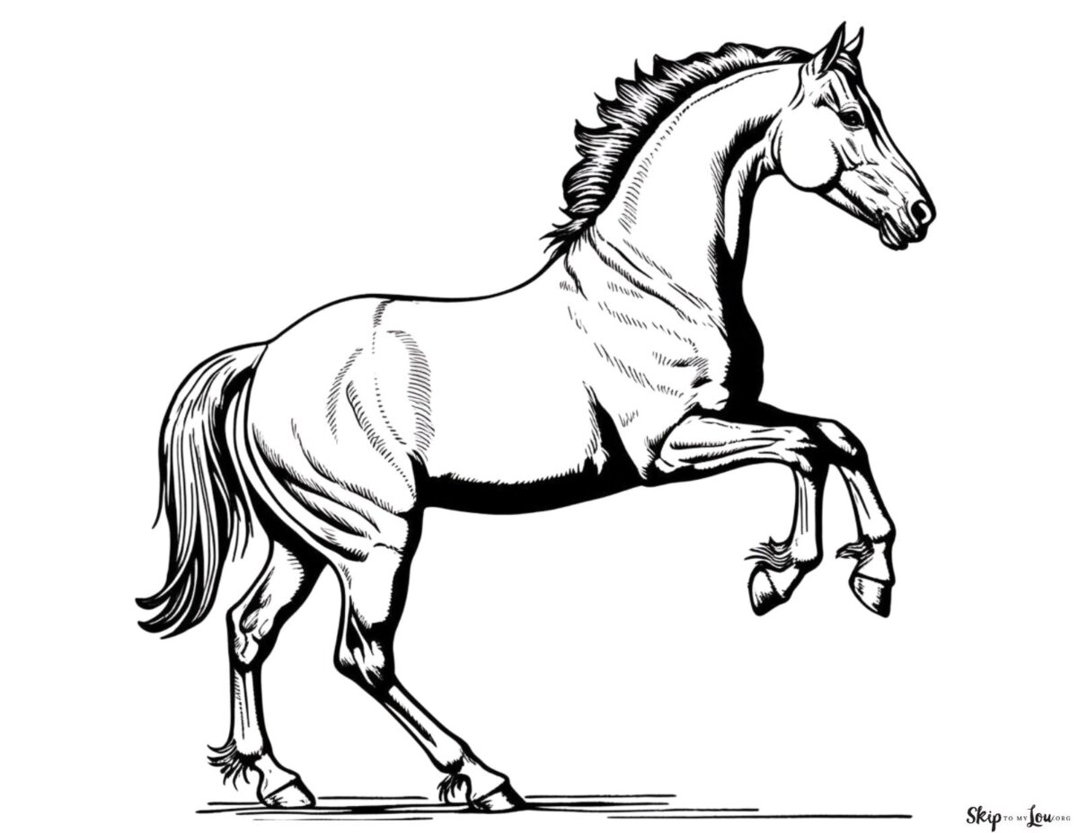 rearing horse