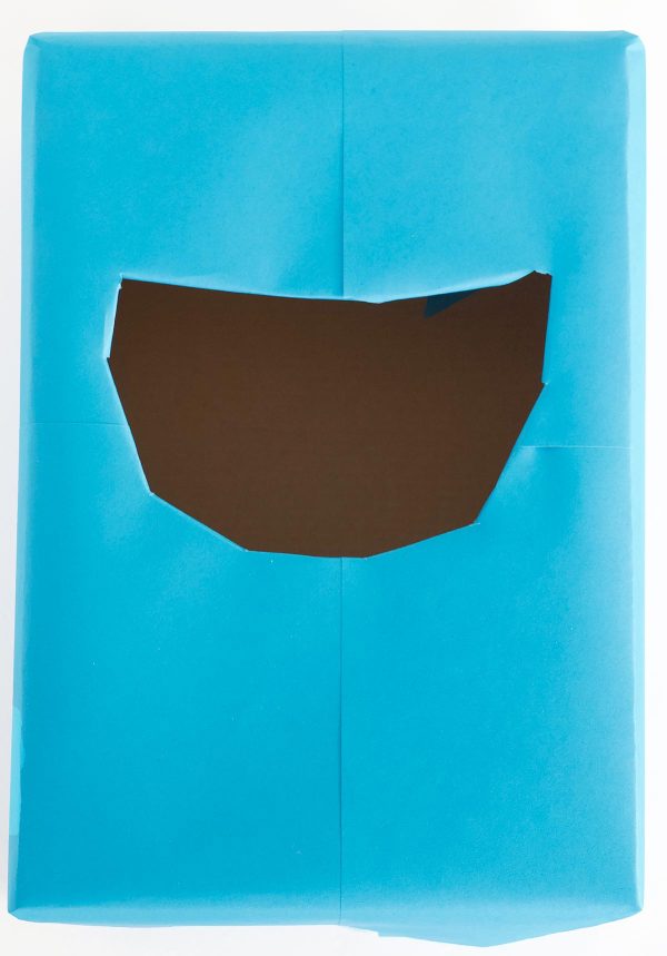Shoebox wrapped in blue paper with the shark's mouth all the way open by Skip to my Lou.