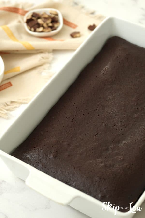 Chocolate cake baked in a rectangle-shaped pan, by Skip to my Lou.