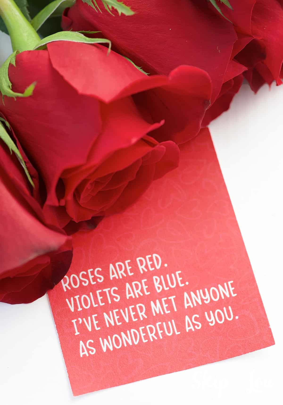 roses are red violets are blue I have never met anyone as wonderful ast you