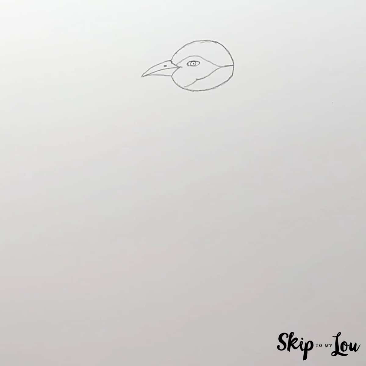 Realistic Penguin Drawing - Step 2 - Head