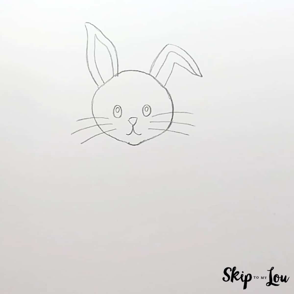 Step 3 - Ears and whiskers