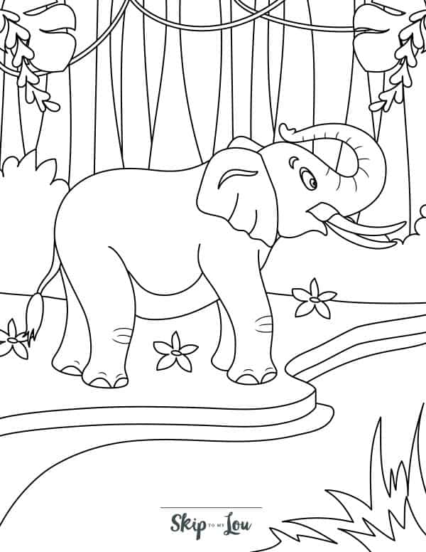 elephant