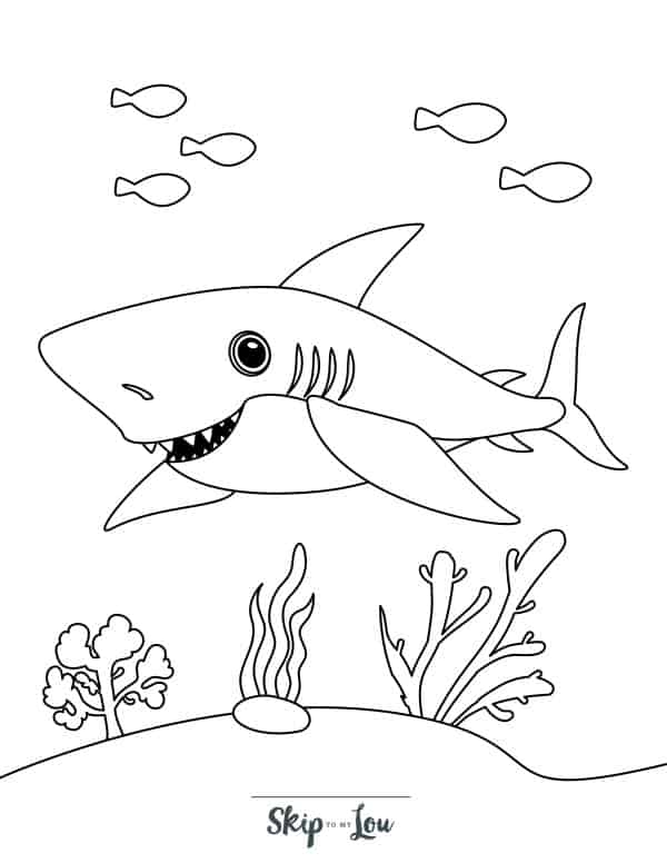shark