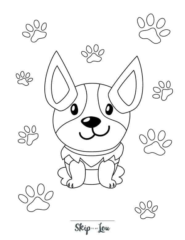 puppy