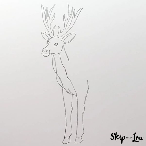 Deer Drawing Guide - Step 5 - Front legs and muscles