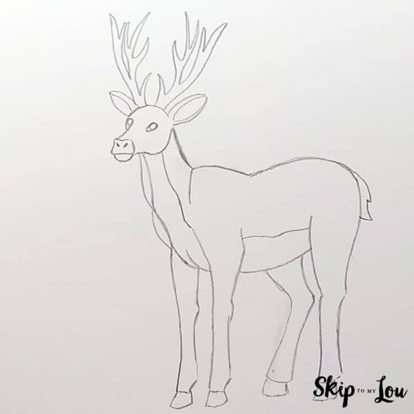 Deer Drawing Guide - Step 6 - The rest of the body