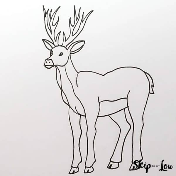 Deer Drawing Guide - Step 7 - Outlined drawing