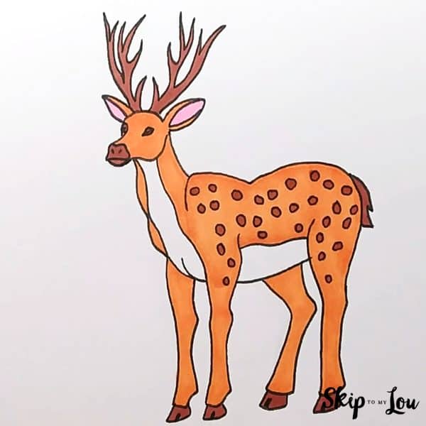 Skip to my Lou - How to Draw a Deer Guide - The finished deer drawing