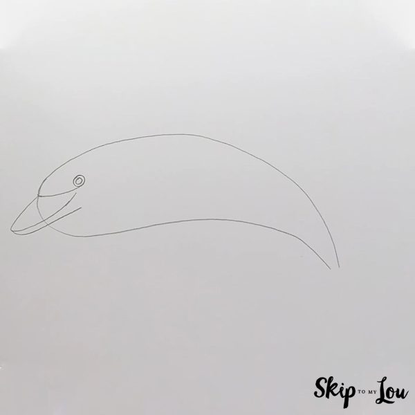 Dolphin Drawing Guide - Step 2 - The face