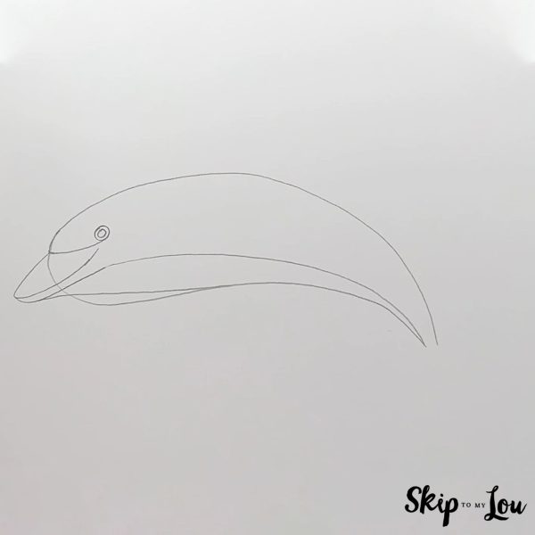 Dolphin Drawing Guide - Step 3 - The stomach