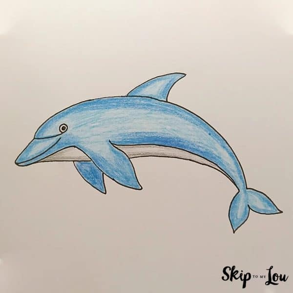 Skip to my Lou - How to Draw a Dolphin Guide - The finished dolphin drawing