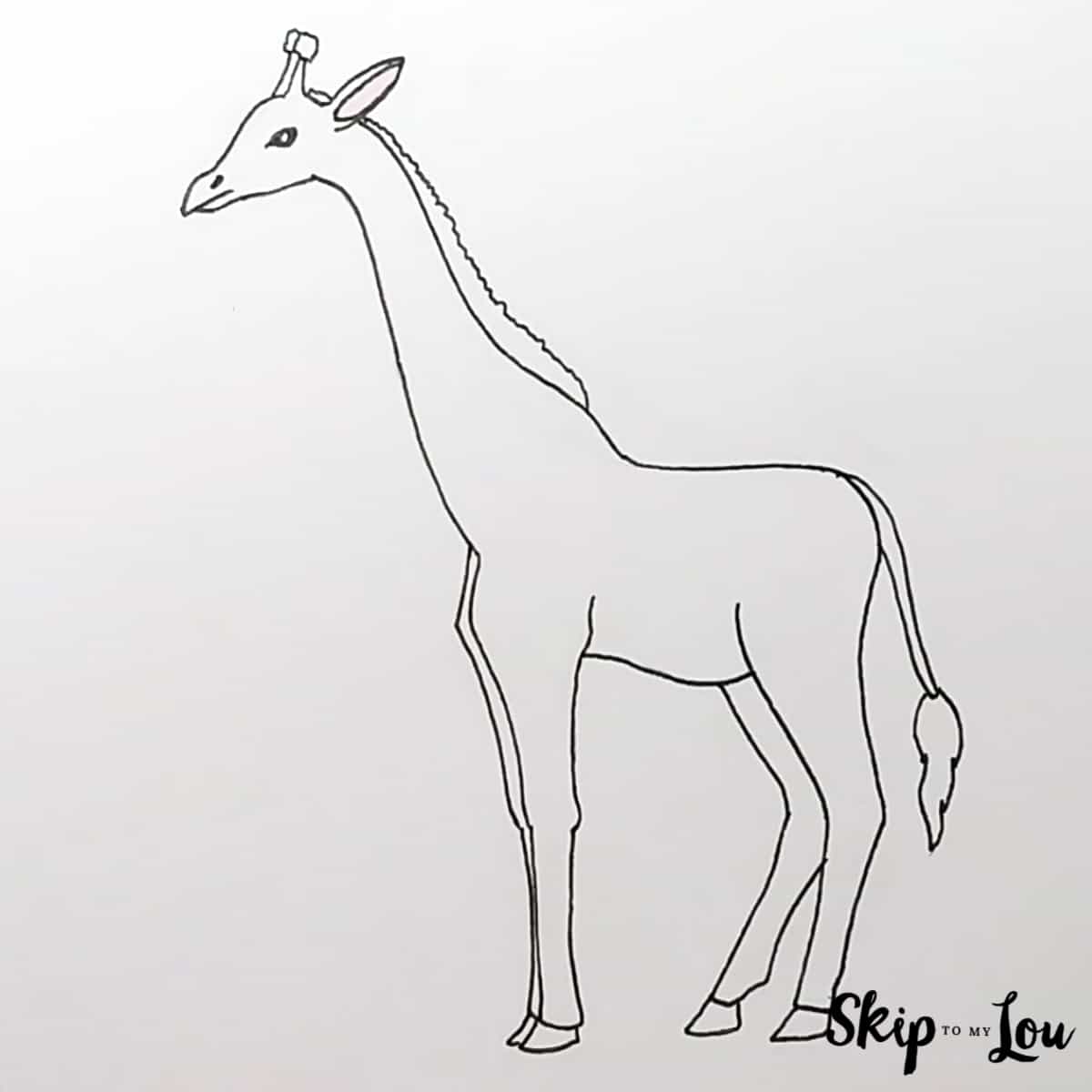 Realistic Giraffe Drawing Guide - Step 7 - Outlined
