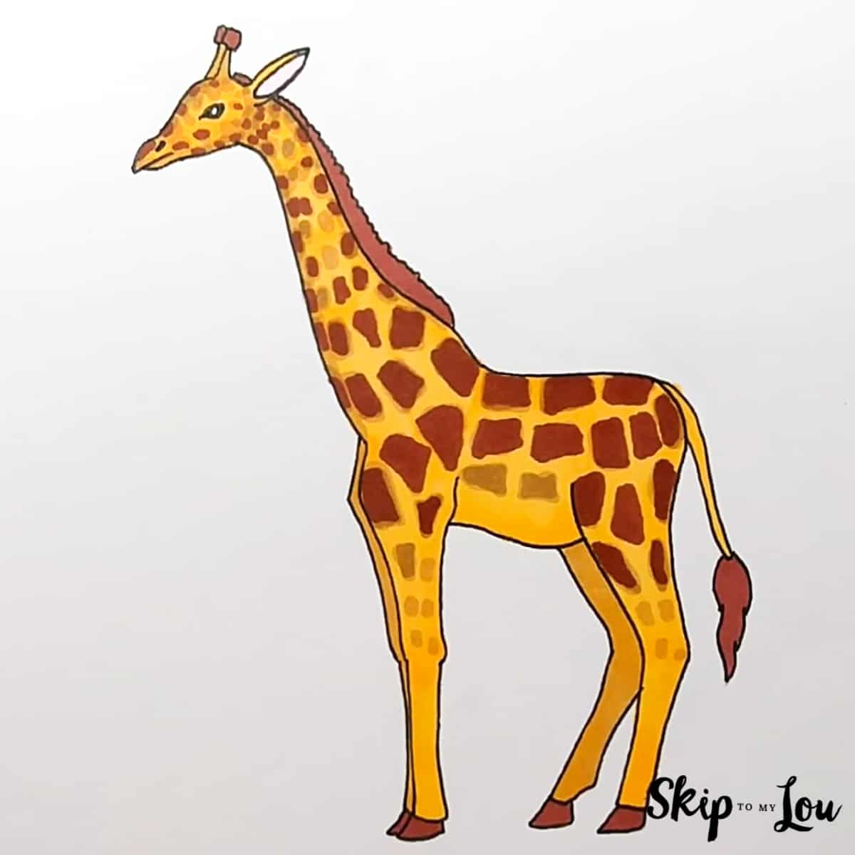 Skip to my Lou - How to Draw a Giraffe - Colored realistic giraffe drawing