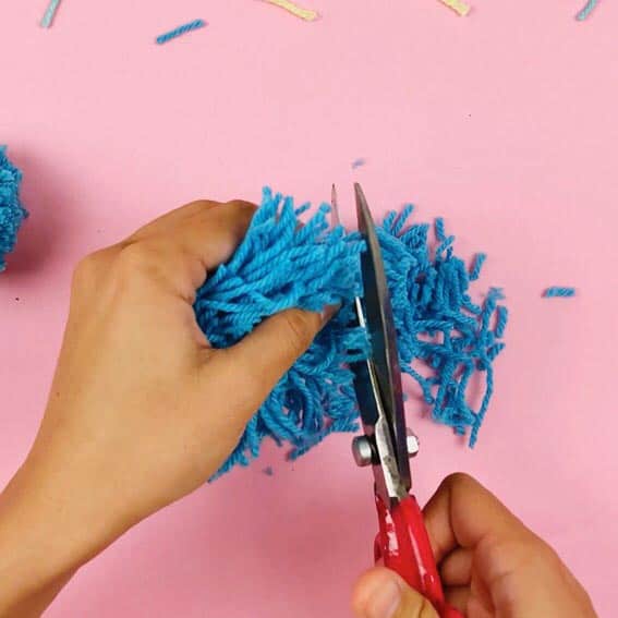 trim pom pom