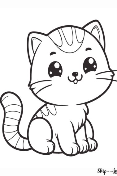 cute kitten with tiger stripes