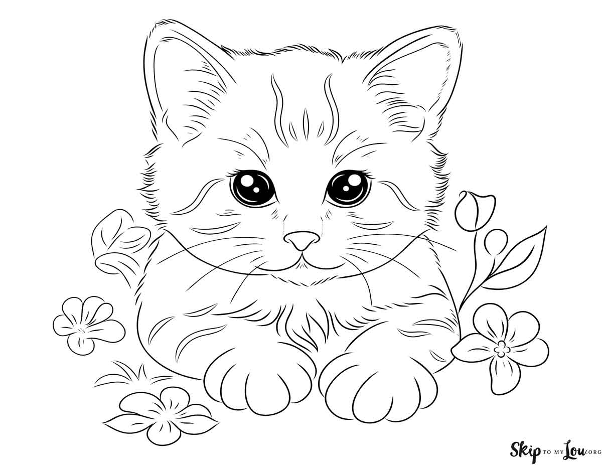 realistic kitten coloring page