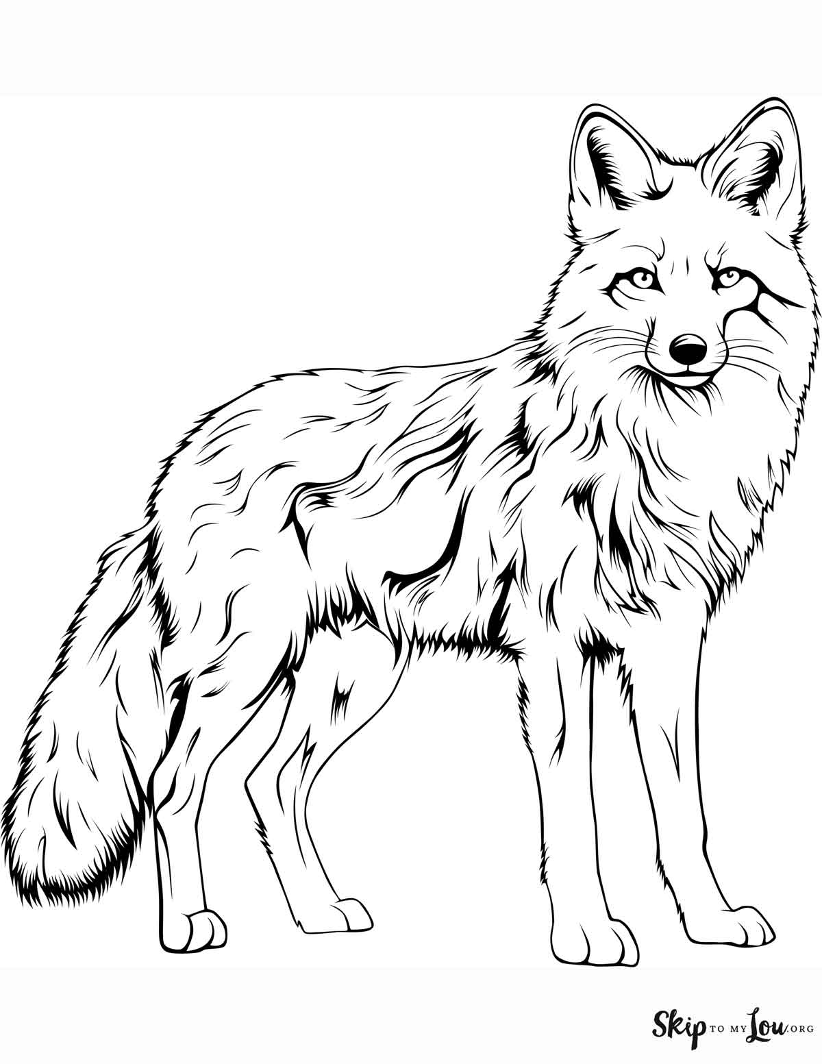 realistic fox standing