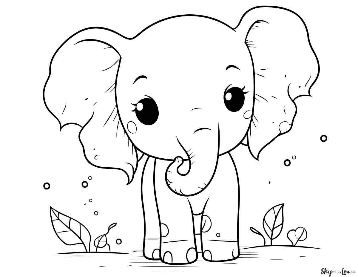sweet little elephant with big eyes and ears