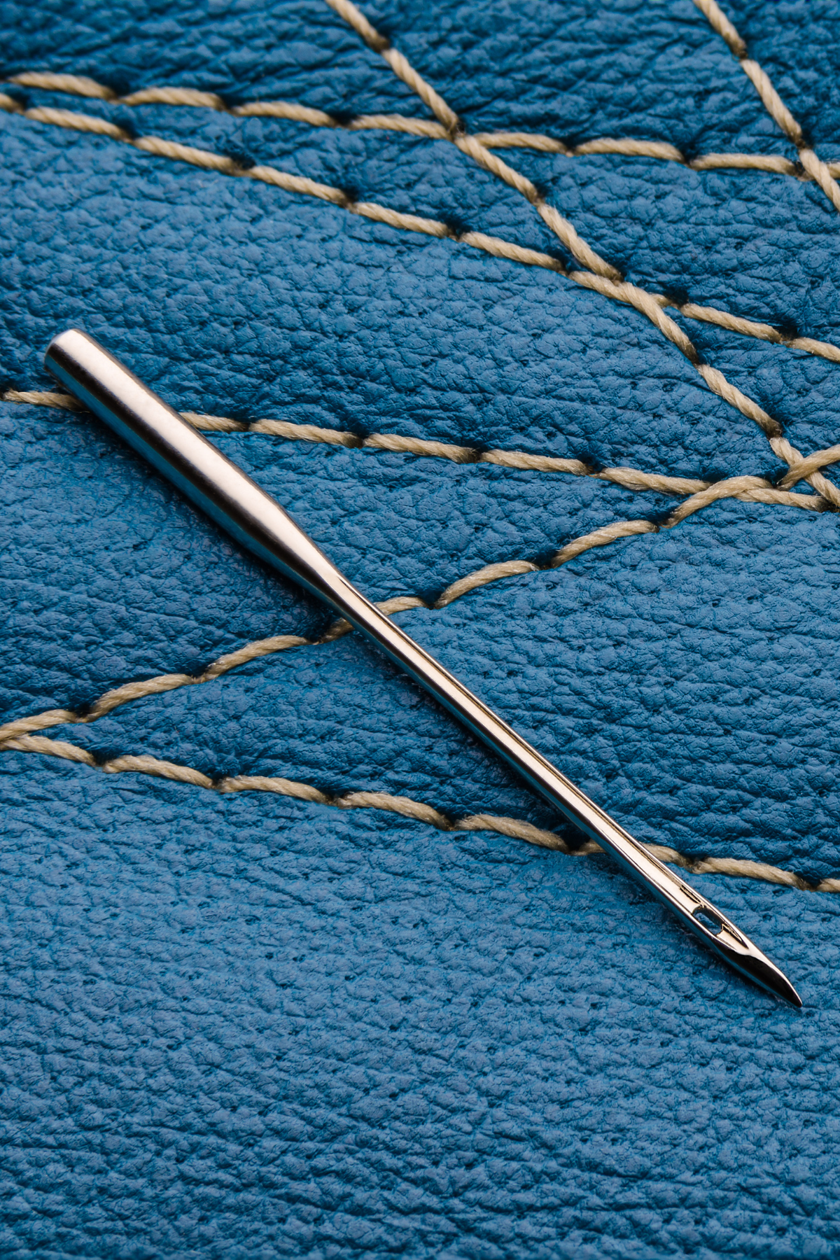 Image shows sewing machine needles on top of leather fabric.