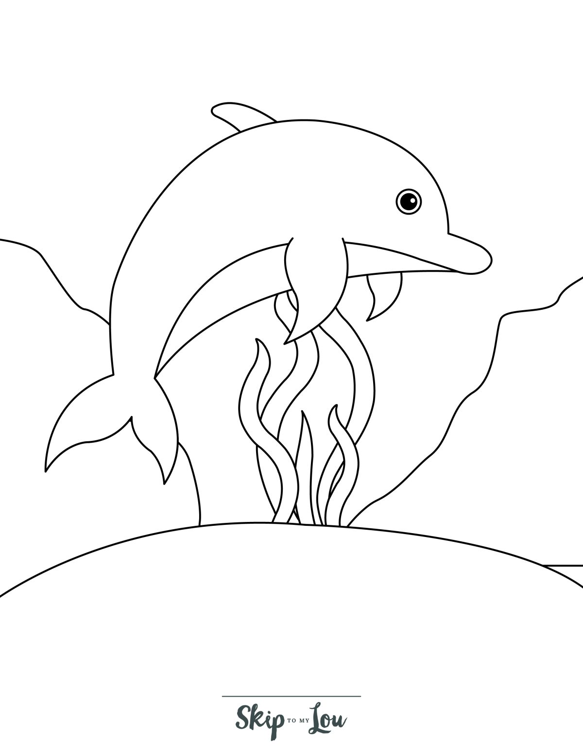 dolphin