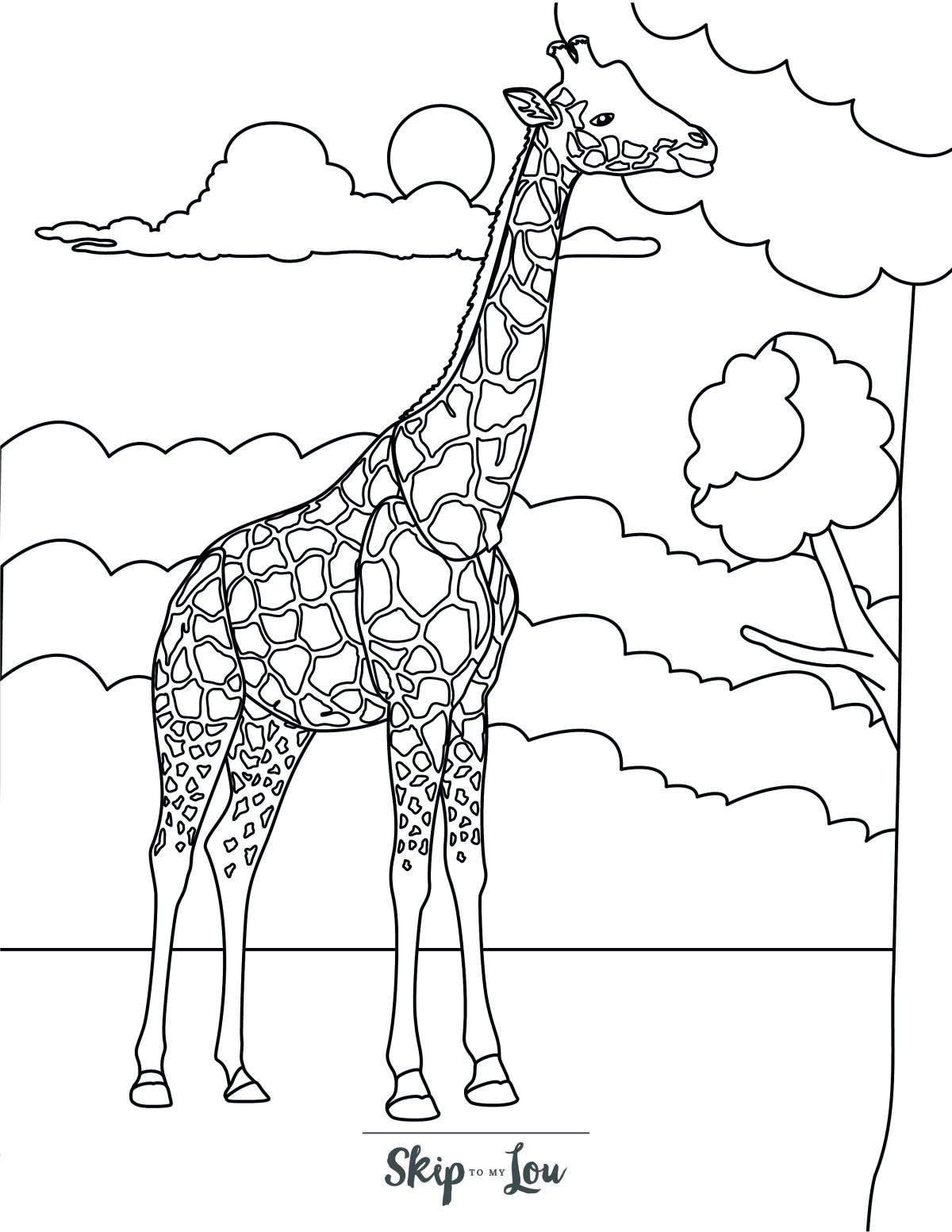 giraffe